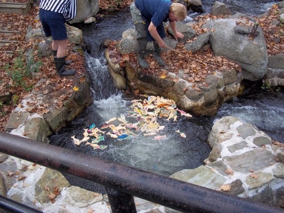 Maine Fun: Running of the Alewives in Damariscotta Mills