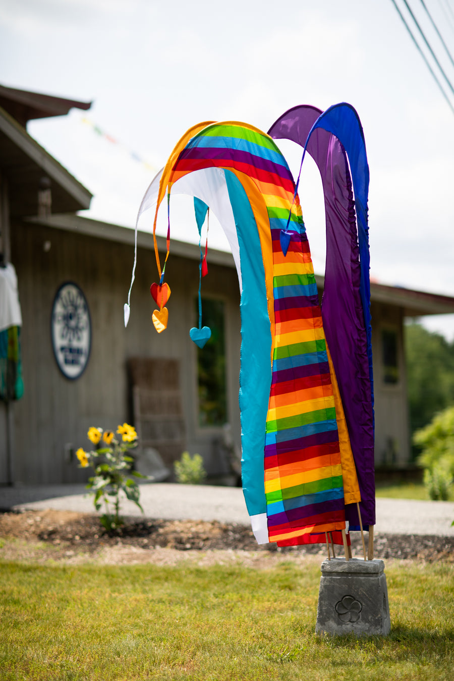 Assorted party flags