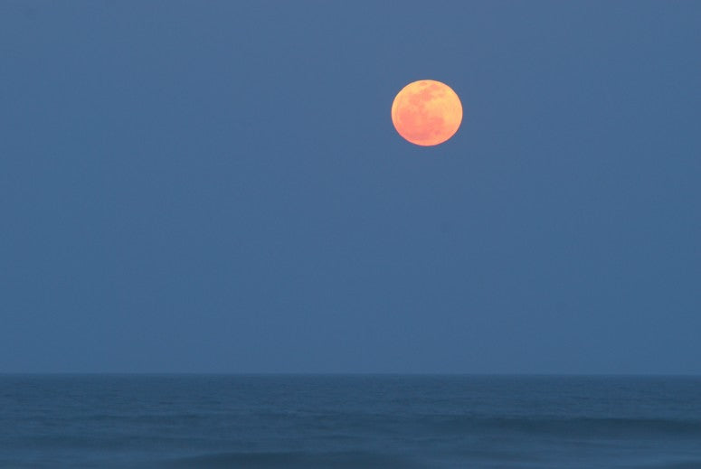 Pink Moon 2013 & the Lunar Phases