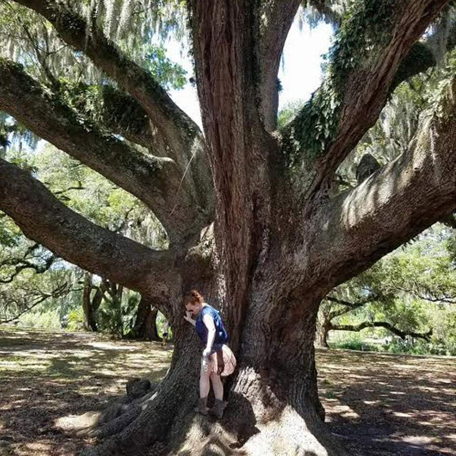 “IT’S A REALLY BIG FAMILY IN A REALLY FUN HOME.” ELLIE HAWKS SHARES HER #MEXICALIMOMENT