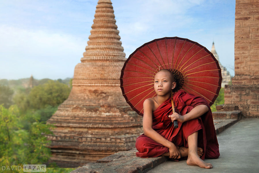 Spotlight on Awesome Art: David Lazar Photography