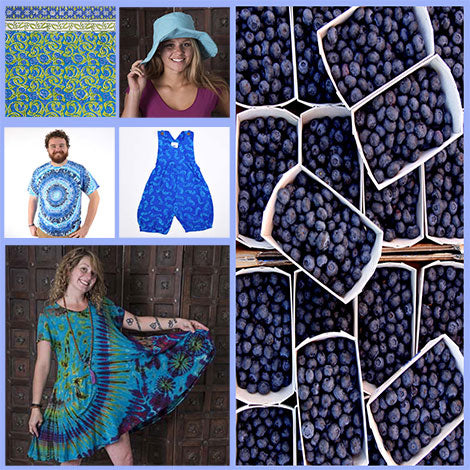We’re Wild for Maine Blueberries at Mexicali Blues!
