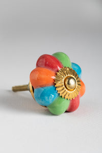 Classic Floral Handpainted Ceramic Knob in Multicolor
