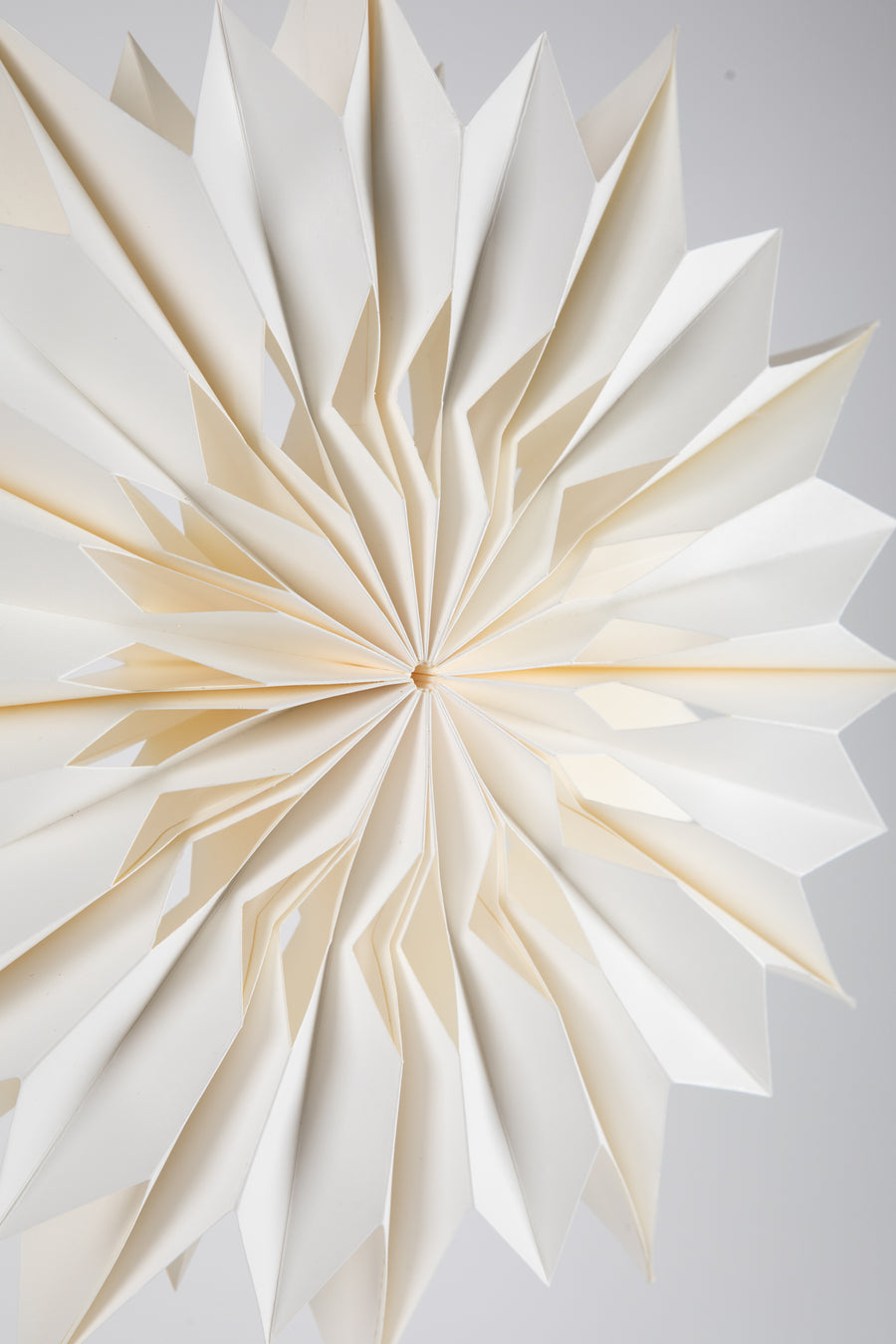 Snowflake Paper Party Decoration