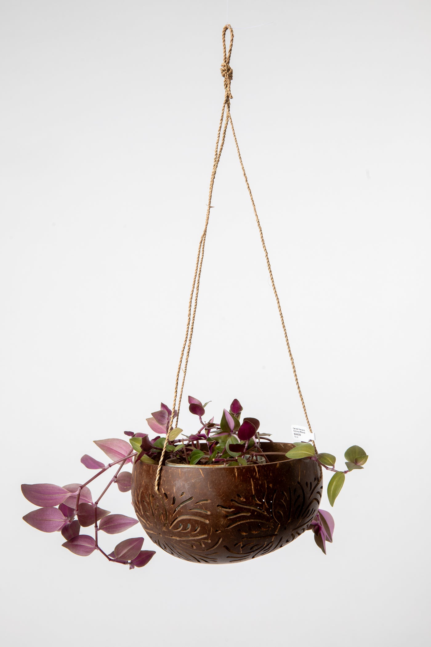 Hanging coconut planter in floral