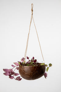 Hanging coconut planter in floral