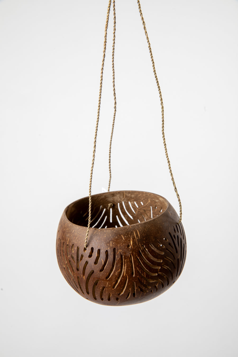 Hanging coconut planter in leaf