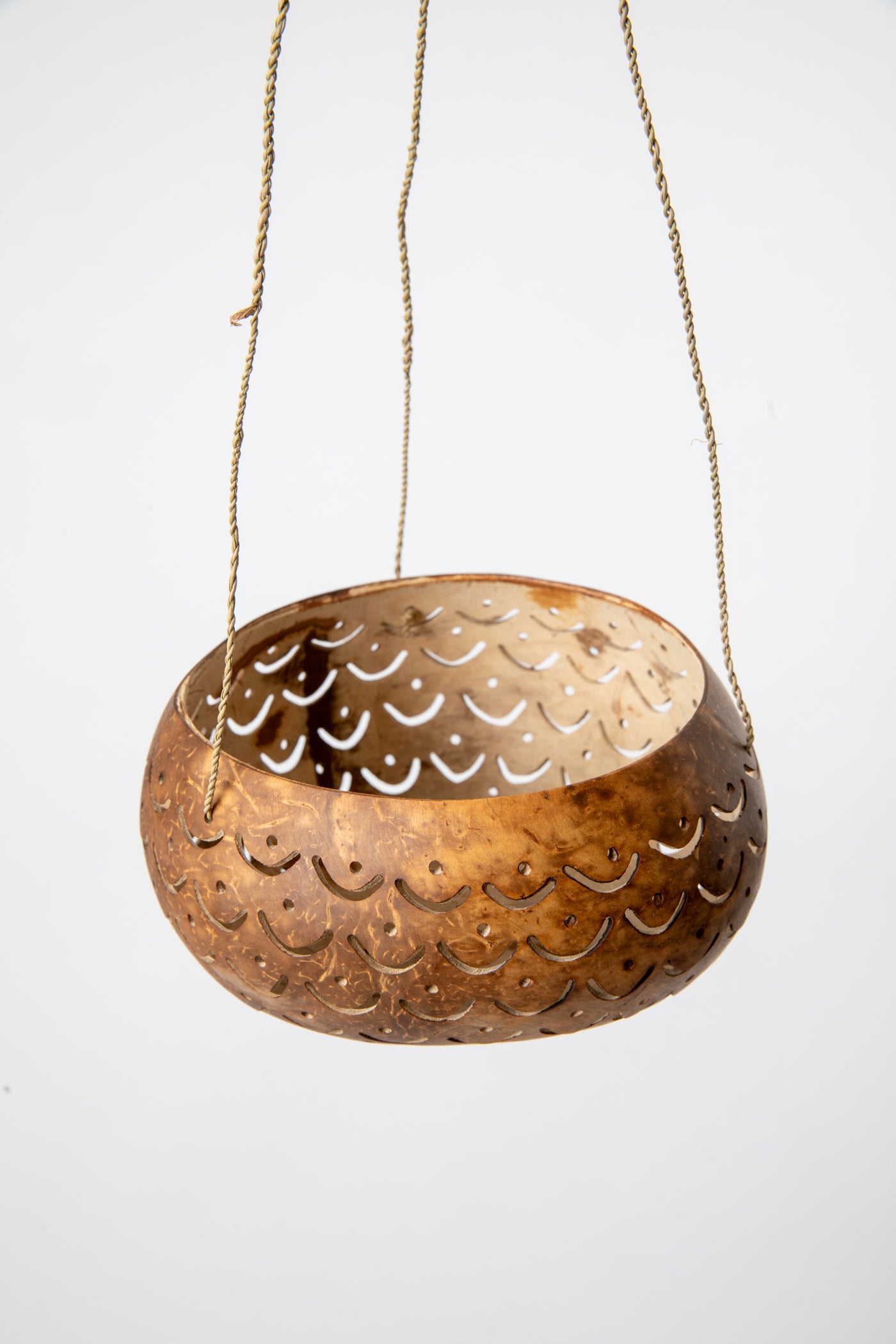 Hanging coconut planter in scallop