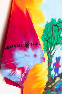 Colorful tie-dye shirt with 'Mexicali Blues' logo and cartoon character on a tree.