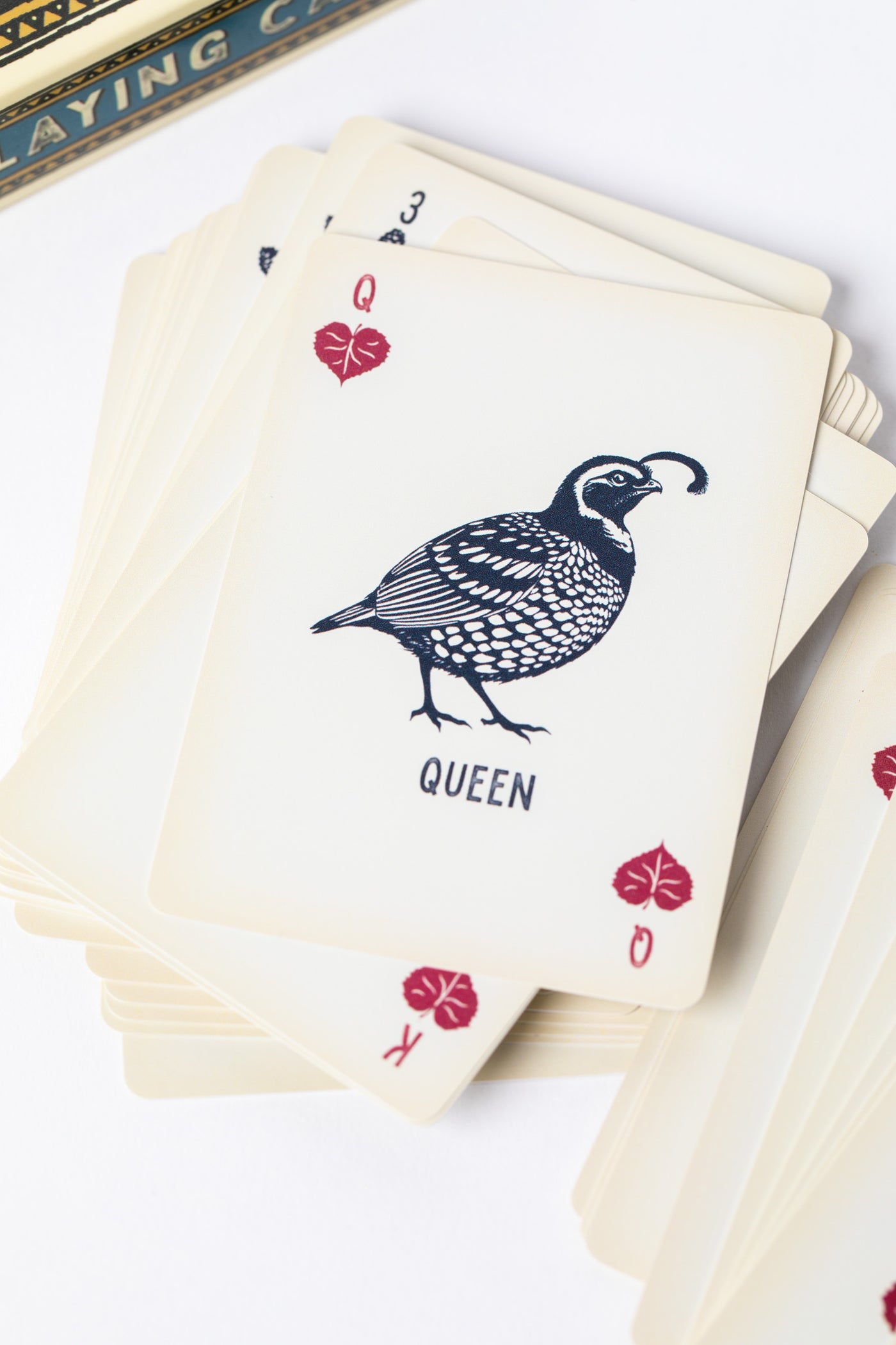 Lucky Camper Waterproof Playing Cards displaying Quail card