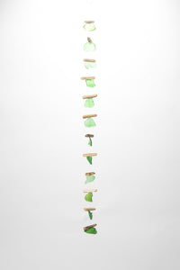 Driftwood and Sea Glass Strand