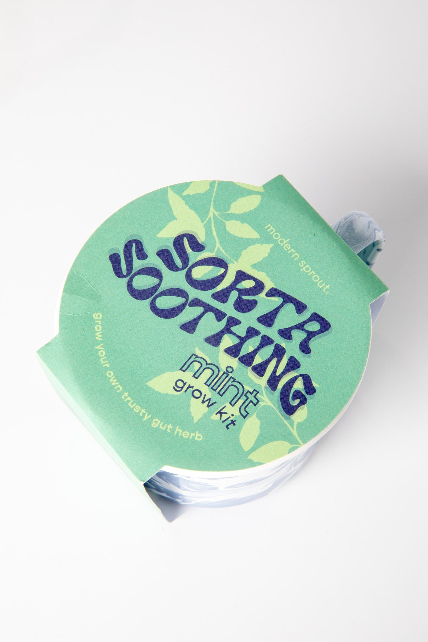 Altered Herbs Grow Kit Mug in Mint