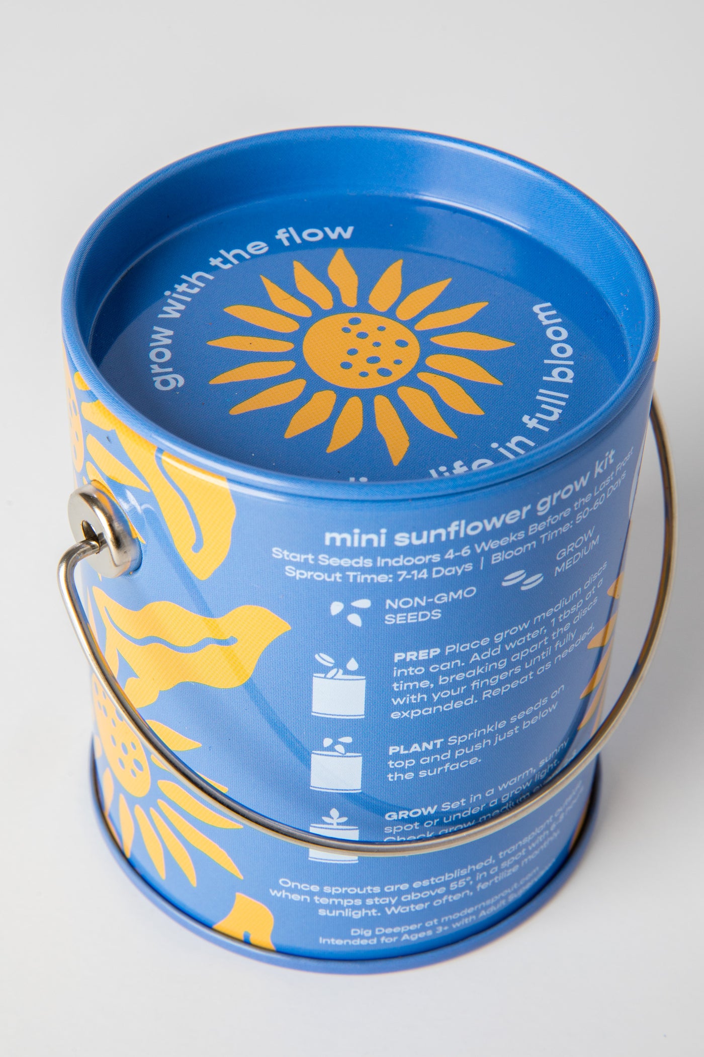 Mini Sunflower Complimentary Color Grow Kit