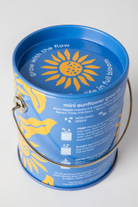 Mini Sunflower Complimentary Color Grow Kit