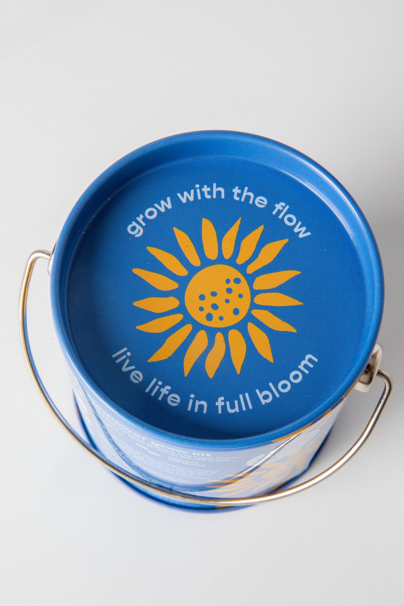 Mini Sunflower Complimentary Color Grow Kit