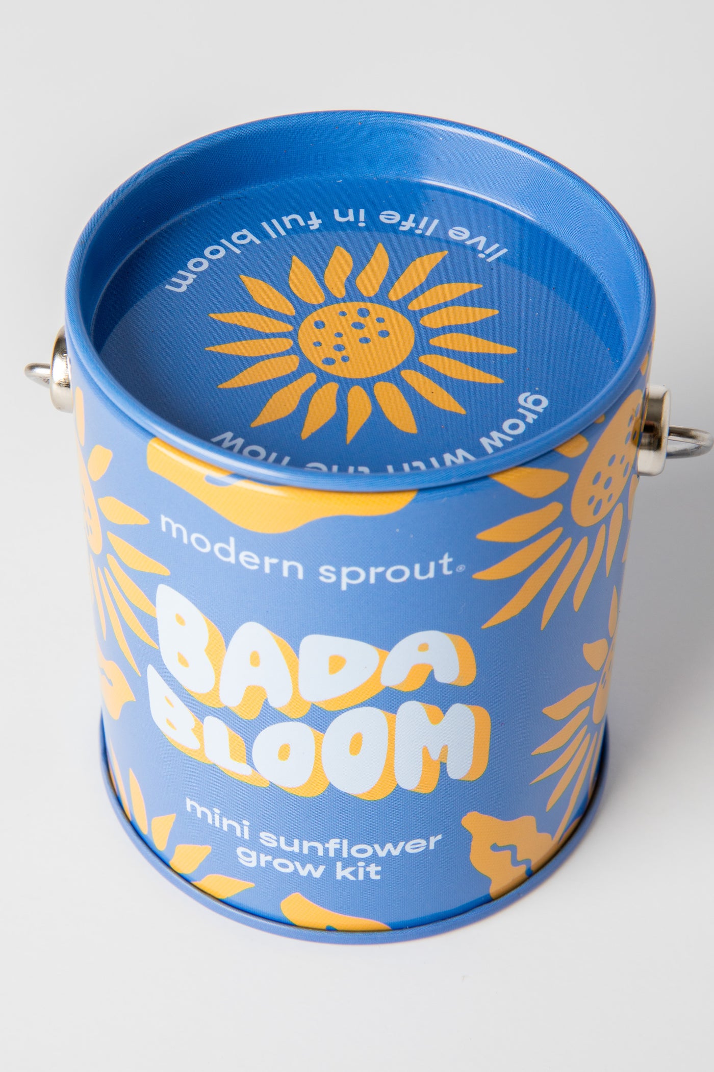 Mini Sunflower Complimentary Color Grow Kit