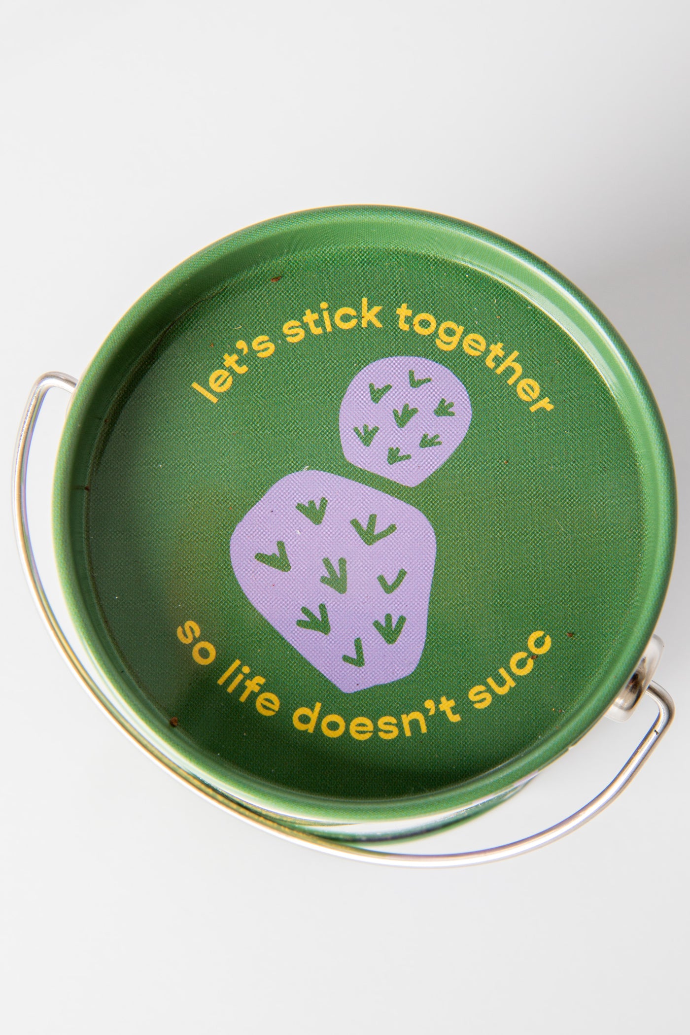 Prickly Pear Cactus Complimentary Color Grow Kit