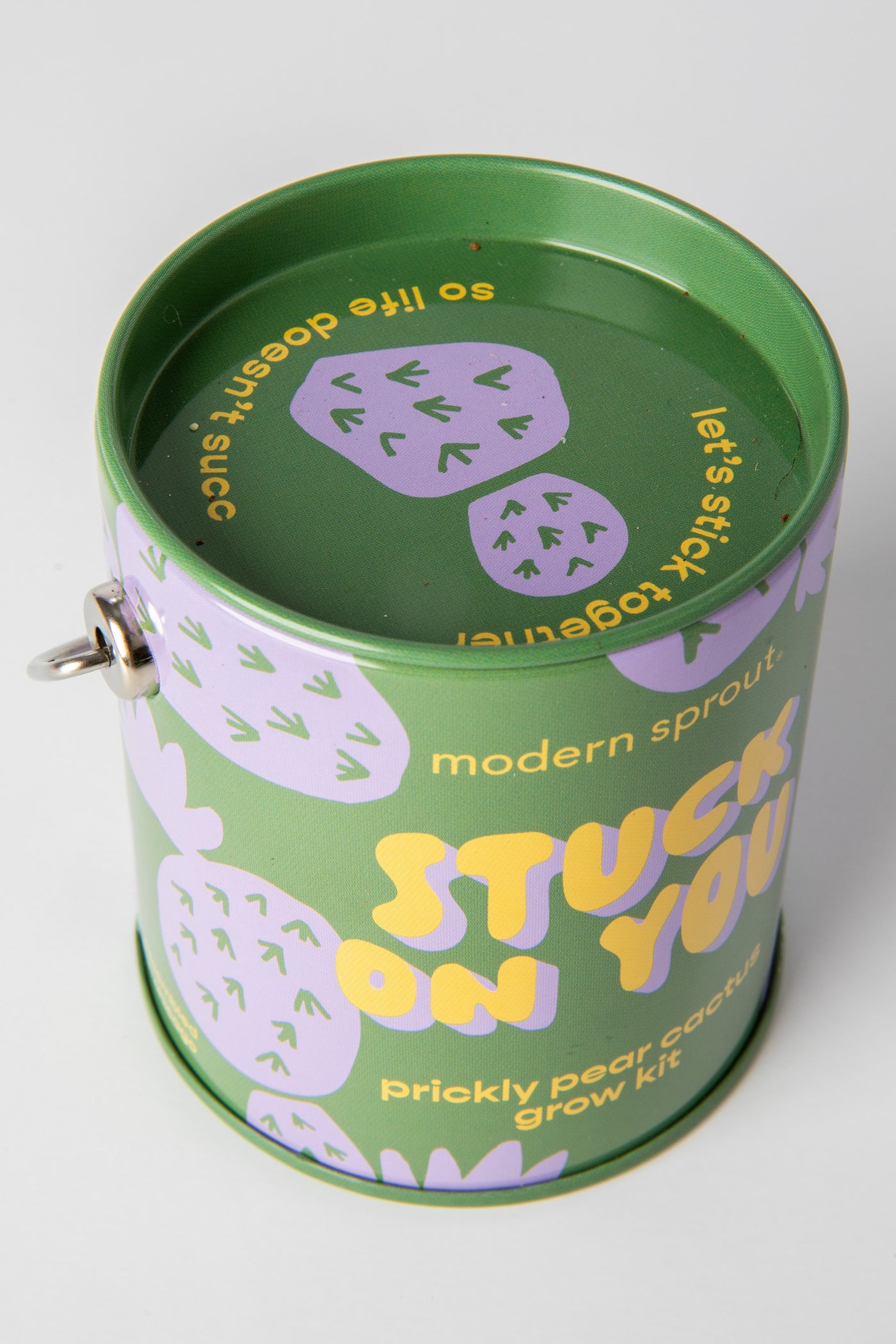 Prickly Pear Cactus Complimentary Color Grow Kit