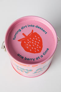 Strawberry Complimentary Color Grow Kit