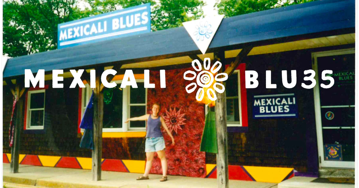 The Origins & Story of Silk Saris · Mexicali Blues