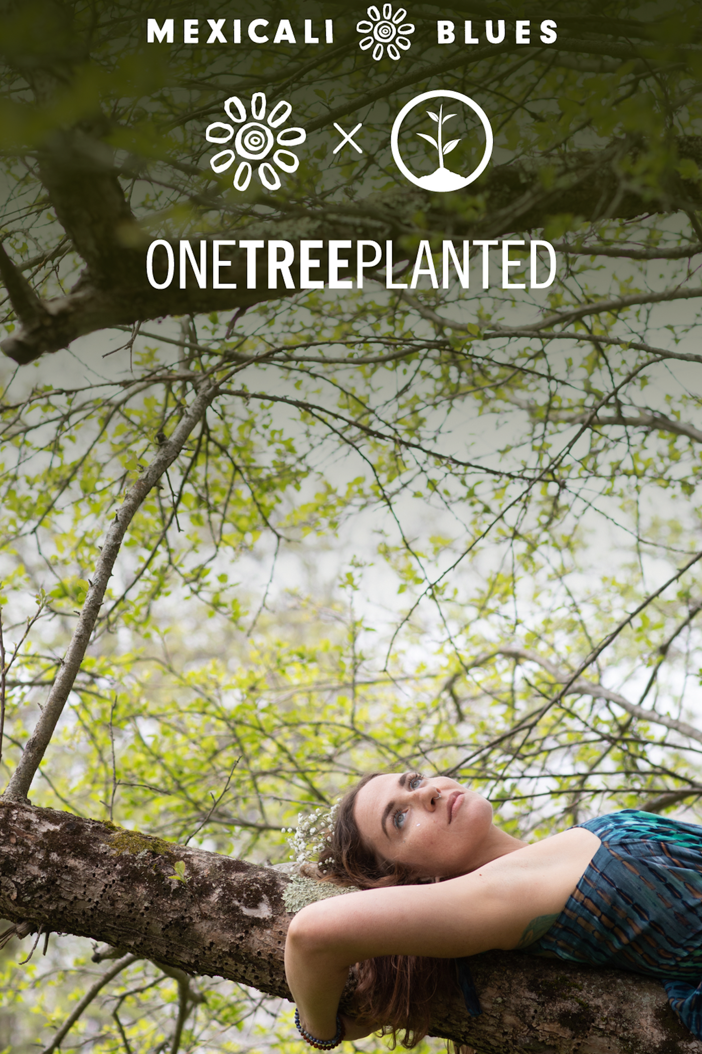 One Tree Planted Donation