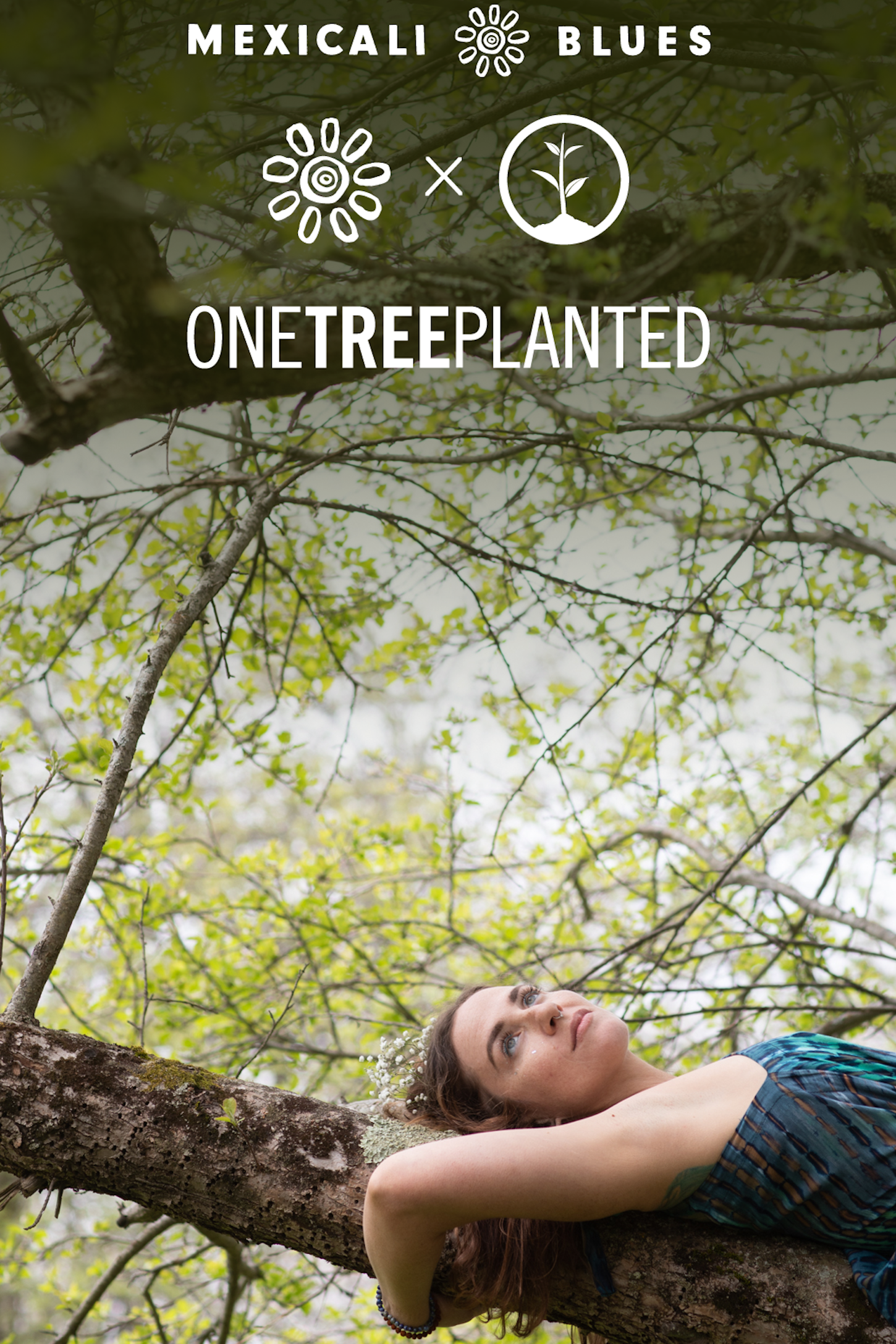 One Tree Planted Donation
