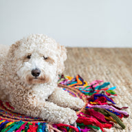 Braided Jute Rag Rug