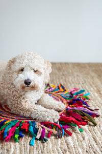 Braided Jute Rag Rug in Mexicali Flower
