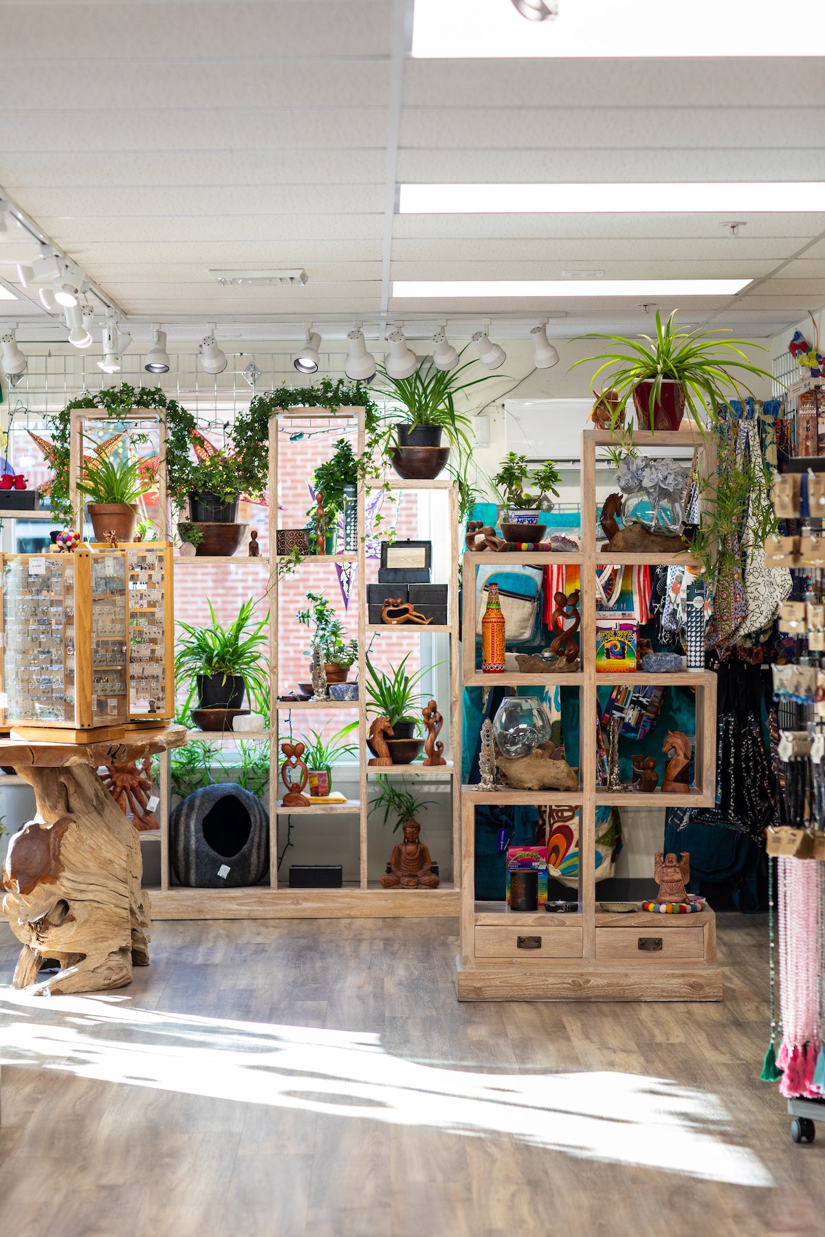 An hippie oasis of houseplants in our Mexicali Blues location in Freeport Maine, come visit us!