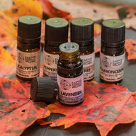 Essential Oil Gift Set