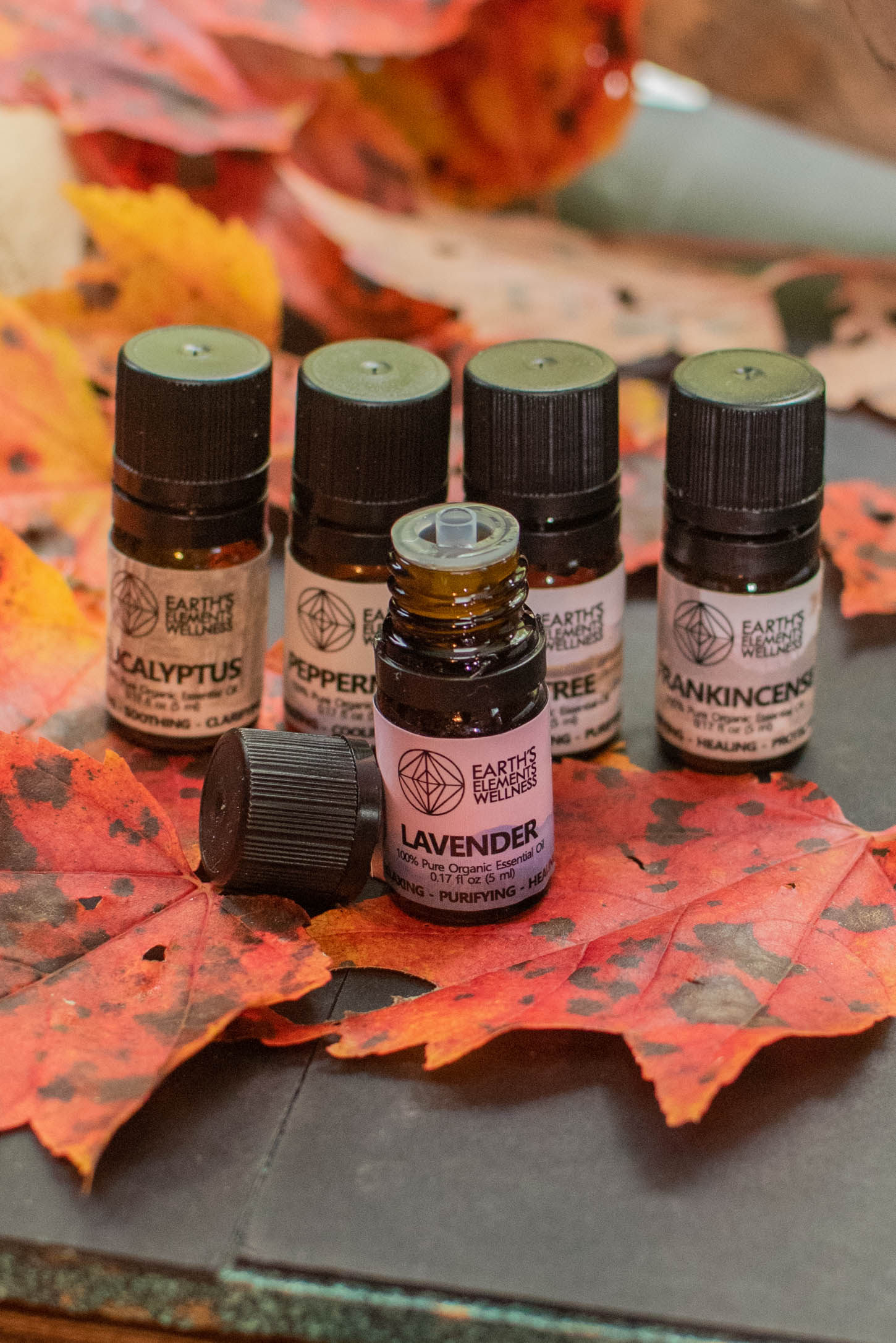 Essential Oil Gift Set