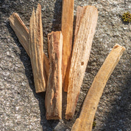 Palo Santo Stick