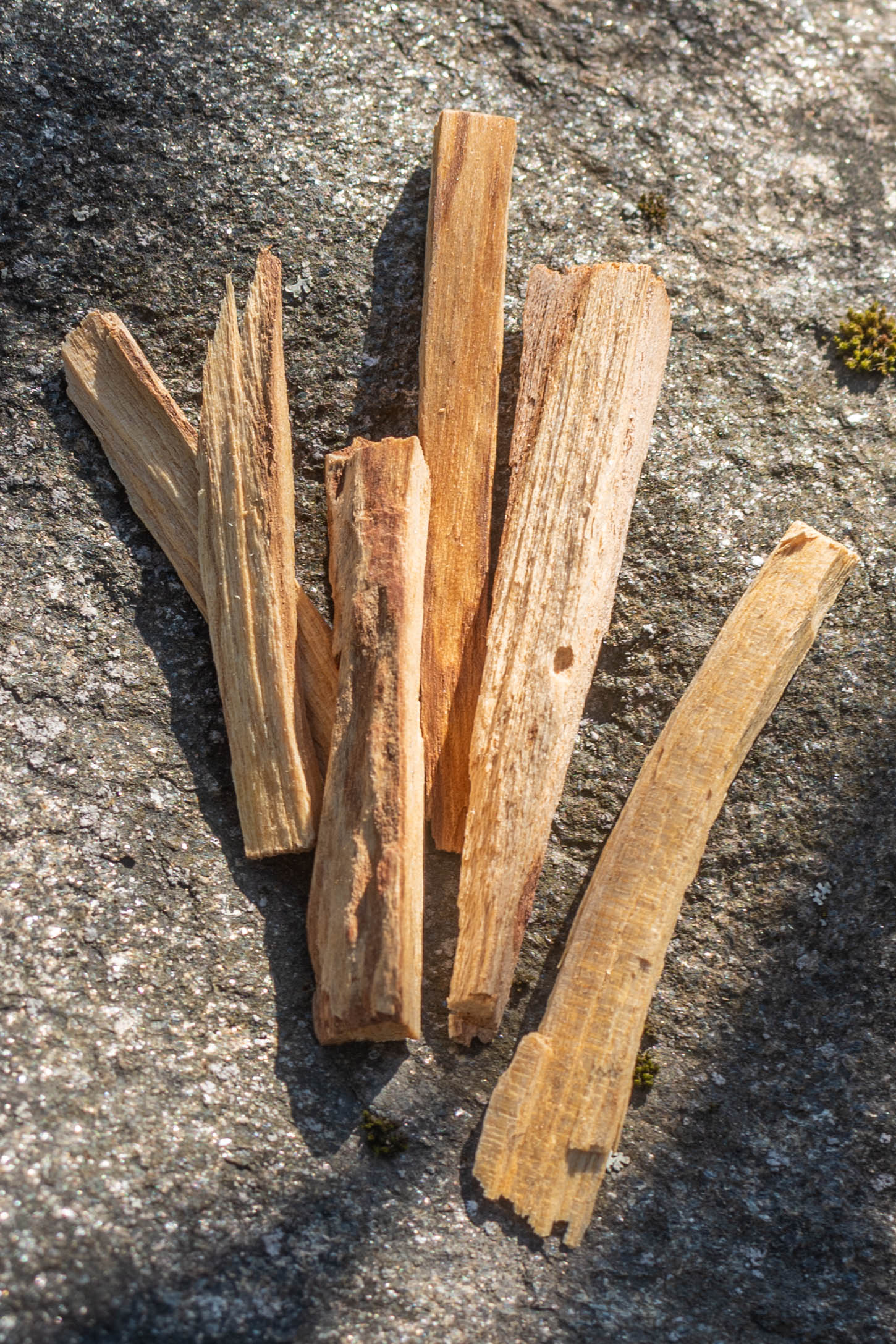 Palo Santo Stick