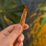 Palo Santo Stick