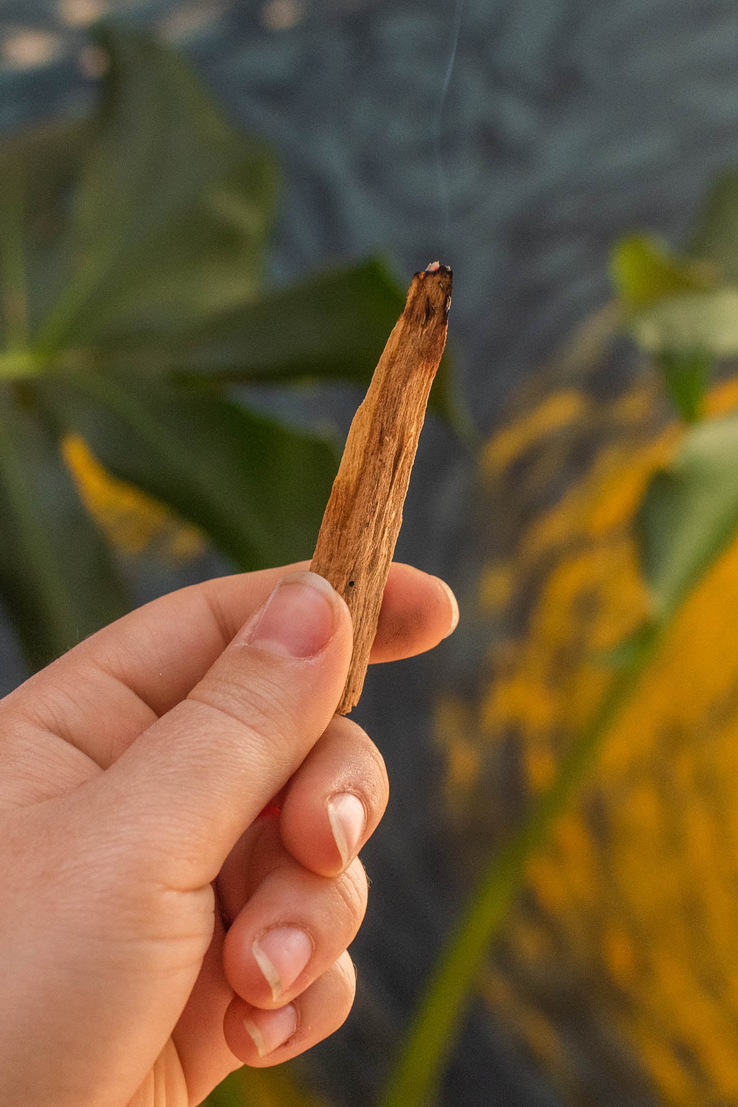 Palo Santo Stick