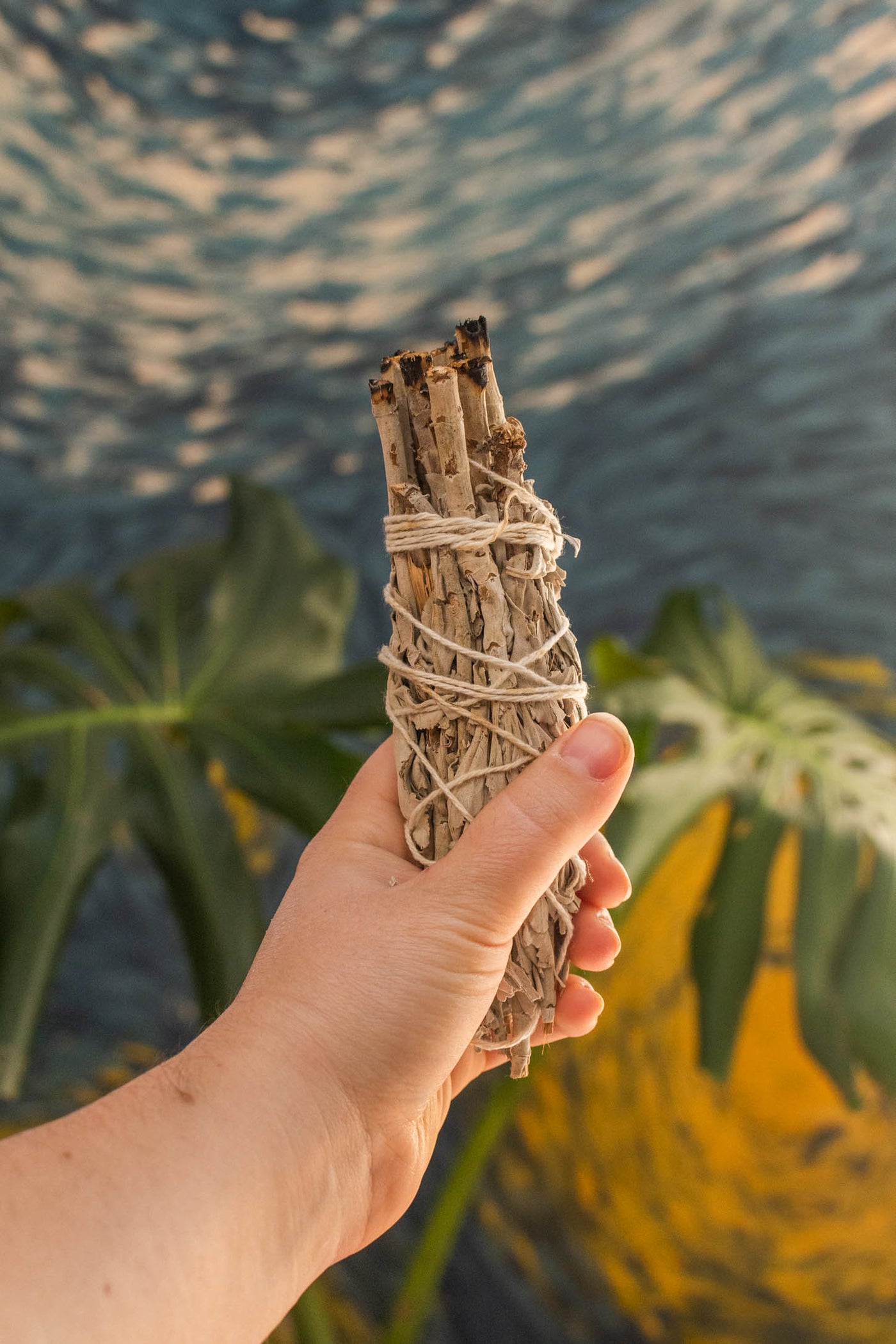 Mountain Sage Cedar Sweetgrass Bundle