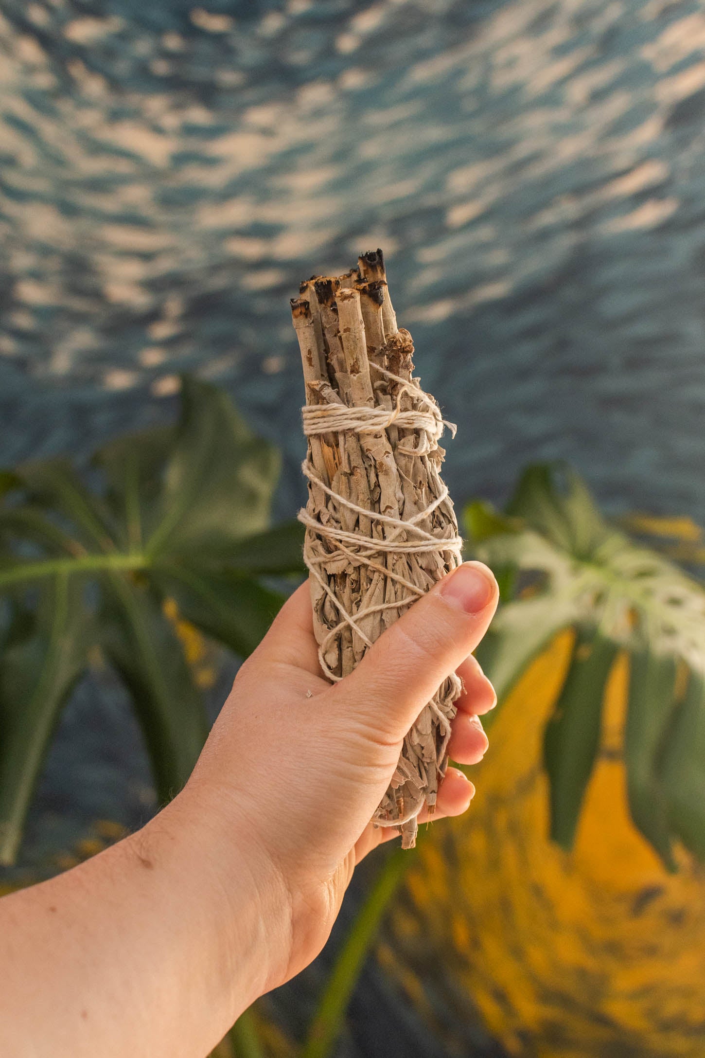 Mountain Sage Cedar Sweetgrass Bundle