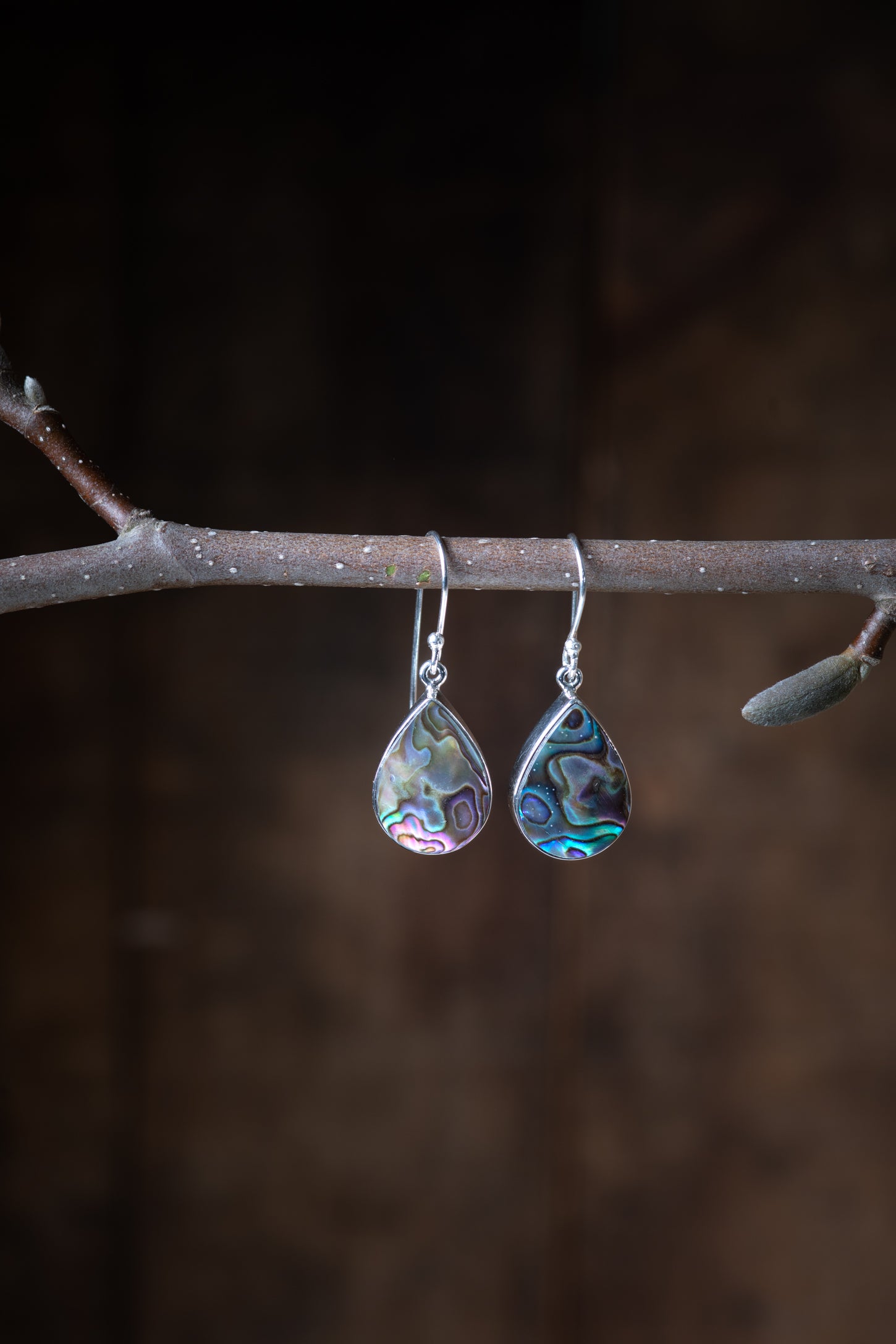 Abalone Teardrop Earrings