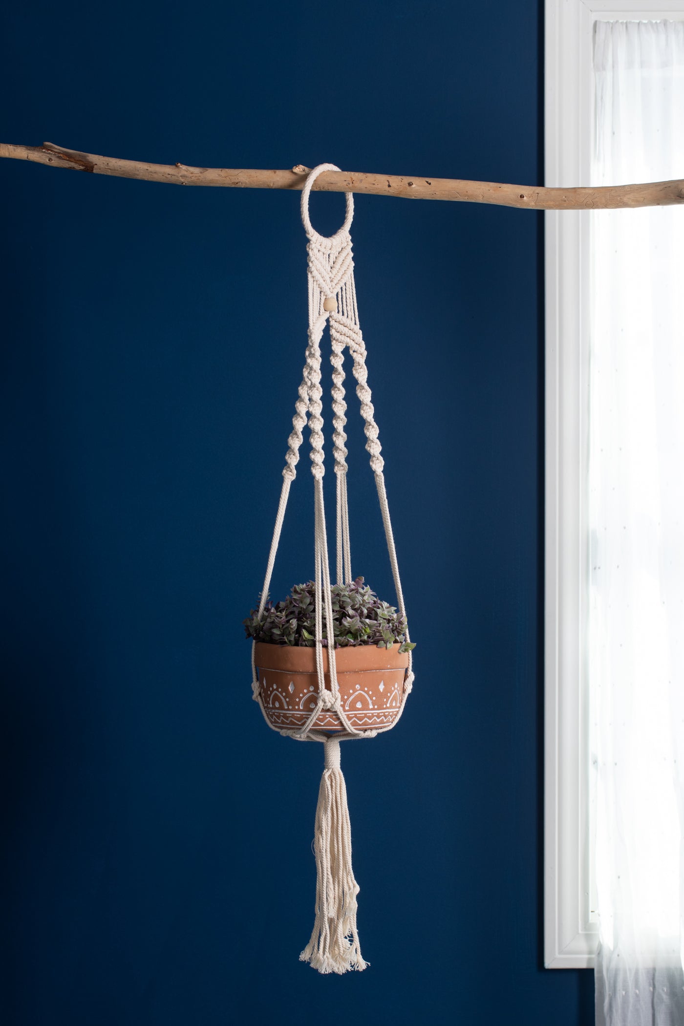 crochet pot plant hanger Crochet Single Plant Hanger in