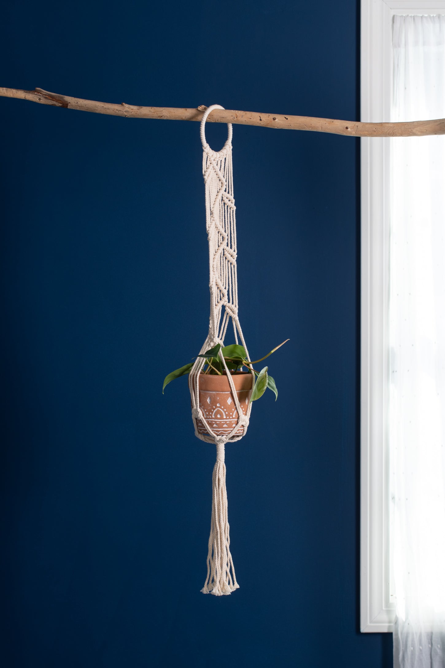 crochet plant hanger for sale Crochet Single Plant Hanger in
