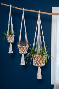 Macrame plant holder