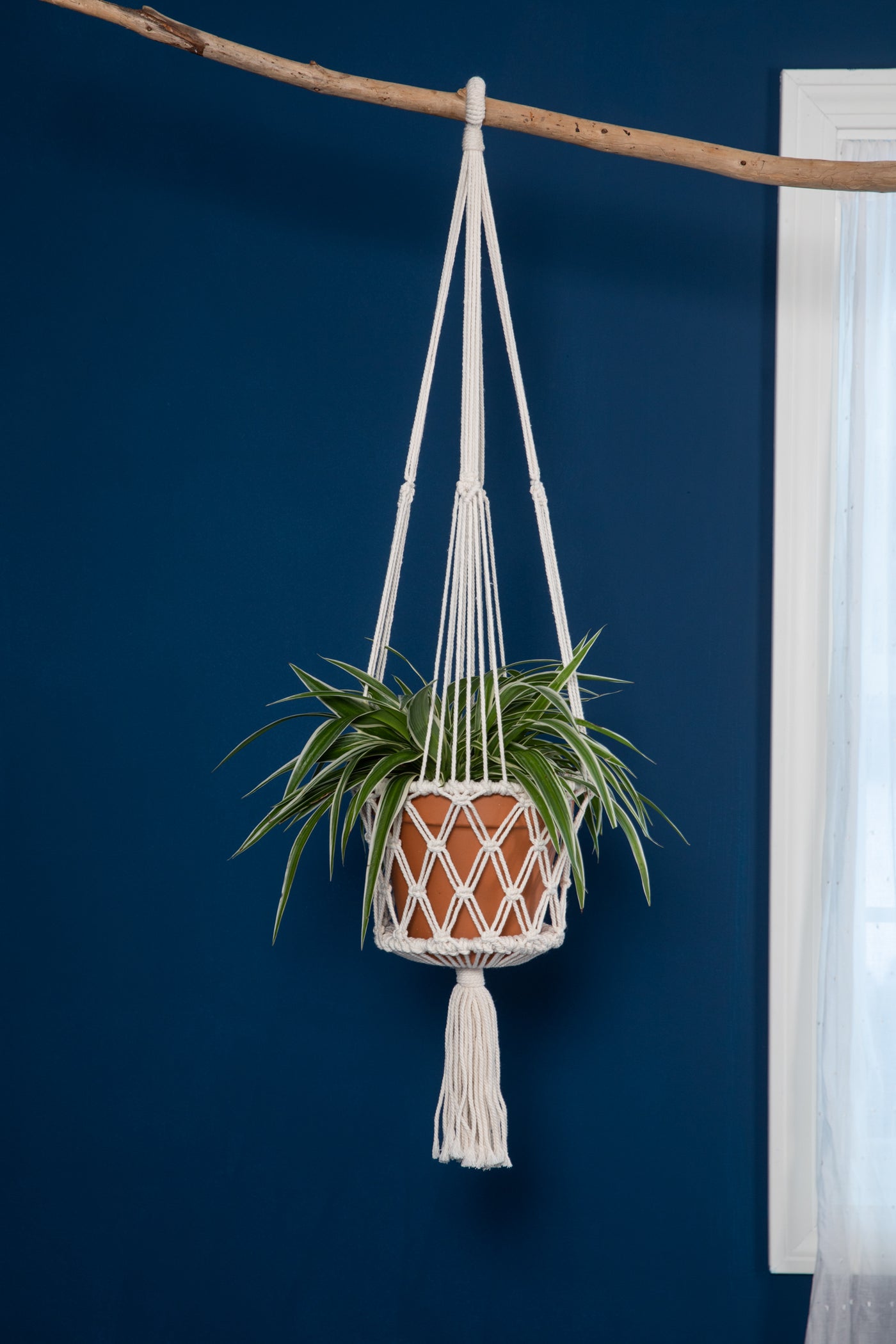 plant hanger with base Macrame Plant Holder