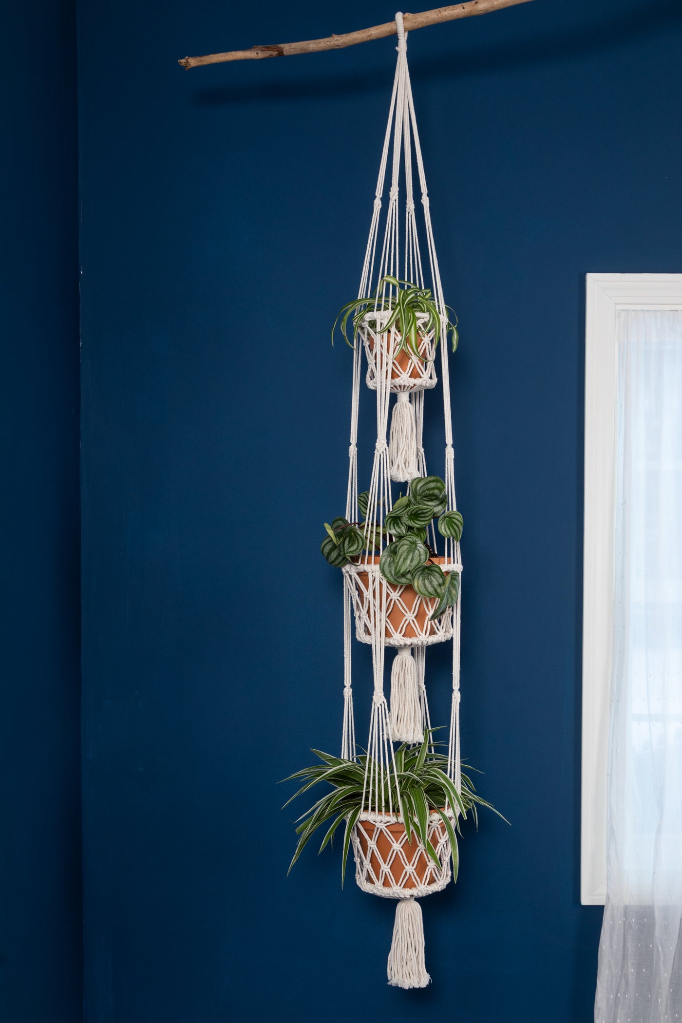 3 plant hanger Macrame Tri-Basket Plant Holder