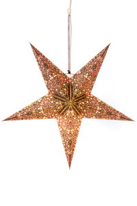 Paper star lantern in peacock garden  - black