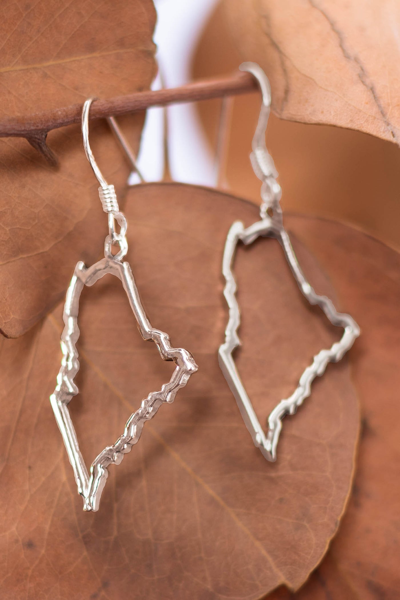 State Of Maine Outline Earrings
